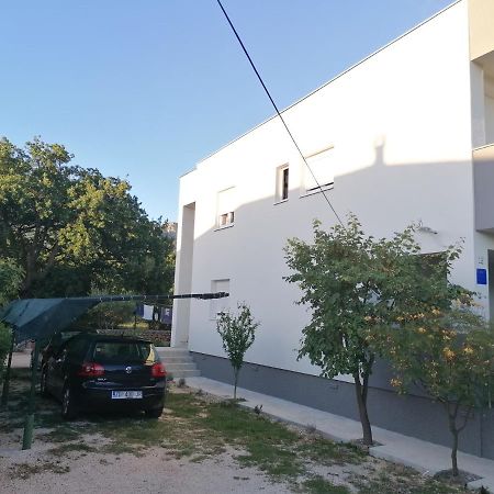Apartments Lota Starigrad Paklenica Eksteriør billede